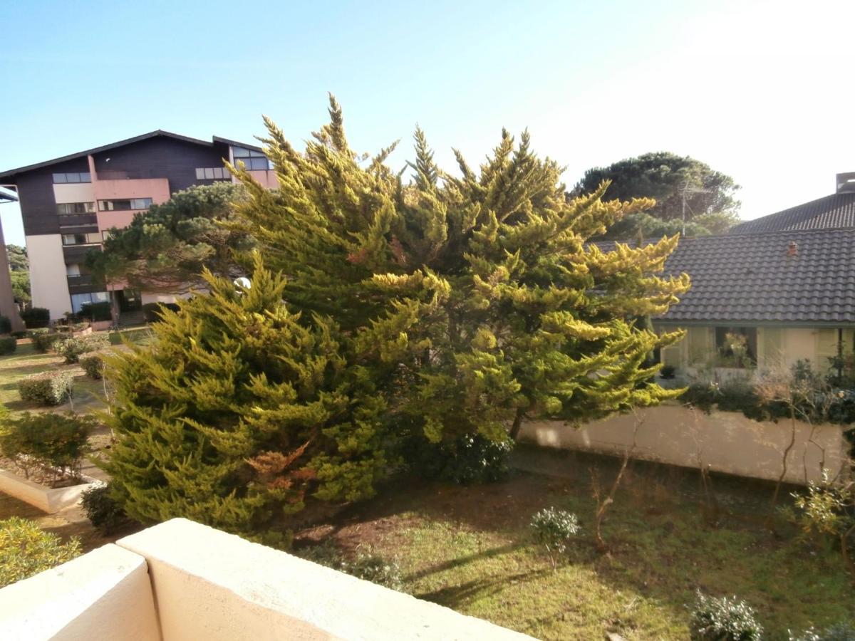 Appartement Renove Avec Balcon, Proche Plage Et Marche - 4 Pers, Calme & Confort A Seignosse - Fr-1-239-460 المظهر الخارجي الصورة